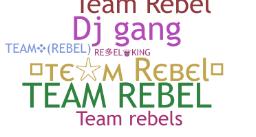 နာမ်မြောက်မည့်အမည် - TeamRebel