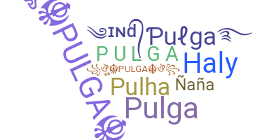 နာမ်မြောက်မည့်အမည် - Pulga