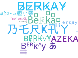 နာမ်မြောက်မည့်အမည် - Berkay