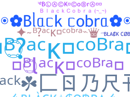 နာမ်မြောက်မည့်အမည် - BlackCobra