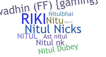 နာမ်မြောက်မည့်အမည် - Nitul
