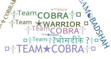 နာမ်မြောက်မည့်အမည် - TeamCobra