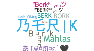 နာမ်မြောက်မည့်အမည် - Berk