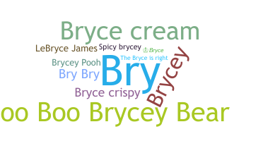နာမ်မြောက်မည့်အမည် - Bryce
