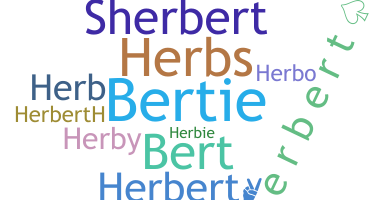နာမ်မြောက်မည့်အမည် - Herbert