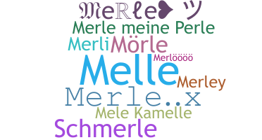 နာမ်မြောက်မည့်အမည် - Merle