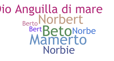 နာမ်မြောက်မည့်အမည် - Norberto