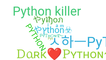 နာမ်မြောက်မည့်အမည် - Python