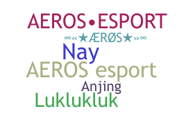 နာမ်မြောက်မည့်အမည် - Aeros