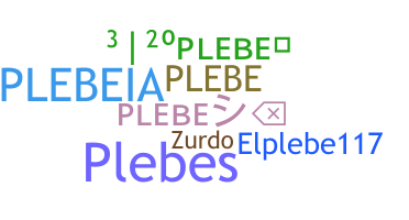 နာမ်မြောက်မည့်အမည် - Plebe