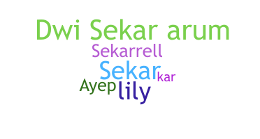 နာမ်မြောက်မည့်အမည် - Sekar