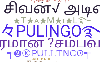 နာမ်မြောက်မည့်အမည် - Pulingo