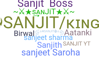 နာမ်မြောက်မည့်အမည် - Sanjit