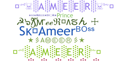 နာမ်မြောက်မည့်အမည် - Ameer