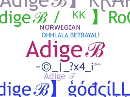 နာမ်မြောက်မည့်အမည် - adige