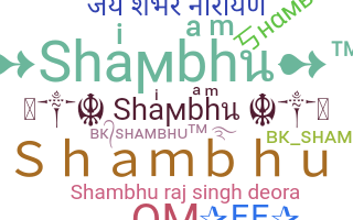 နာမ်မြောက်မည့်အမည် - Shambhu