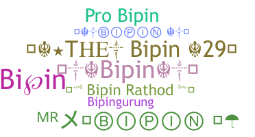 နာမ်မြောက်မည့်အမည် - Bipin