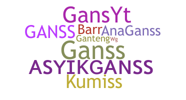 နာမ်မြောက်မည့်အမည် - GansS