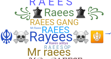 နာမ်မြောက်မည့်အမည် - Raees