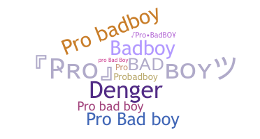 နာမ်မြောက်မည့်အမည် - ProBadboy