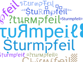နာမ်မြောက်မည့်အမည် - Sturmpfeil