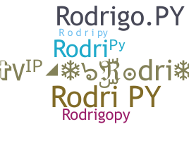 နာမ်မြောက်မည့်အမည် - Rodripy
