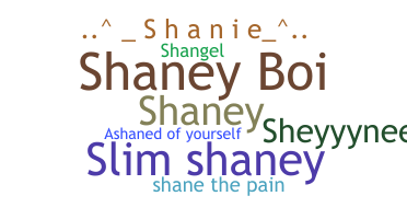 နာမ်မြောက်မည့်အမည် - Shane