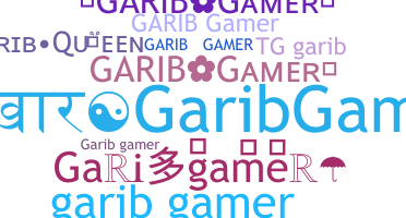 နာမ်မြောက်မည့်အမည် - Garibgamer