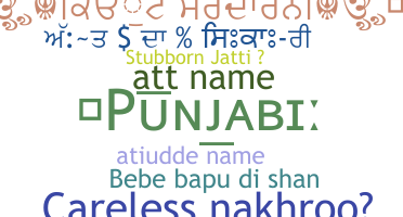 နာမ်မြောက်မည့်အမည် - Punjabi