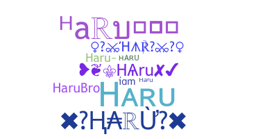 နာမ်မြောက်မည့်အမည် - Haru
