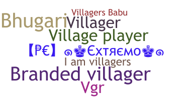 နာမ်မြောက်မည့်အမည် - Villagers