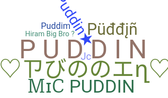 နာမ်မြောက်မည့်အမည် - Puddin