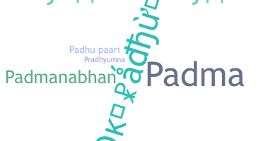 နာမ်မြောက်မည့်အမည် - Padhu