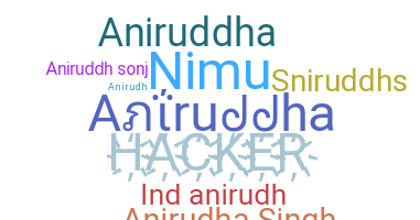 နာမ်မြောက်မည့်အမည် - aniruddha