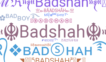 နာမ်မြောက်မည့်အမည် - Badshah