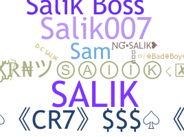 နာမ်မြောက်မည့်အမည် - Salik