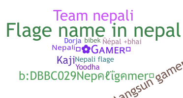 နာမ်မြောက်မည့်အမည် - Nepaligamer