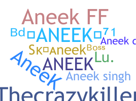 နာမ်မြောက်မည့်အမည် - Aneek