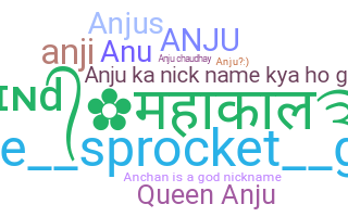 နာမ်မြောက်မည့်အမည် - Anju