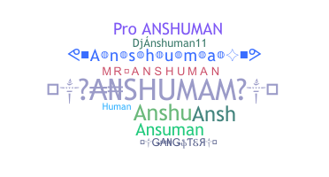 နာမ်မြောက်မည့်အမည် - anshuman