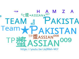 နာမ်မြောက်မည့်အမည် - TeamPakistan