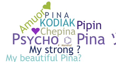 နာမ်မြောက်မည့်အမည် - Pina
