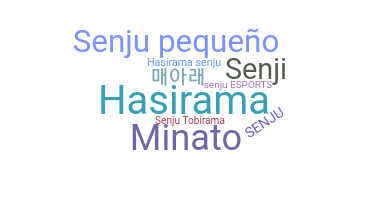 နာမ်မြောက်မည့်အမည် - Senju