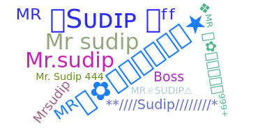 နာမ်မြောက်မည့်အမည် - MRSUDIP