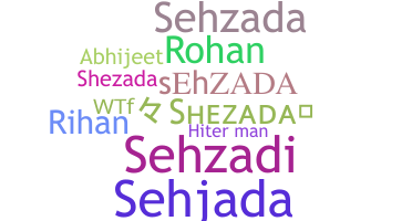 နာမ်မြောက်မည့်အမည် - sehzada
