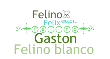 နာမ်မြောက်မည့်အမည် - Felino