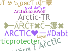 နာမ်မြောက်မည့်အမည် - Arctic