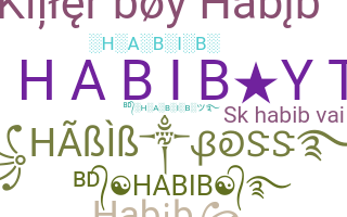 နာမ်မြောက်မည့်အမည် - Habib
