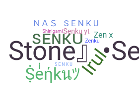 နာမ်မြောက်မည့်အမည် - Senku