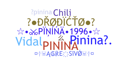 နာမ်မြောက်မည့်အမည် - Pinina